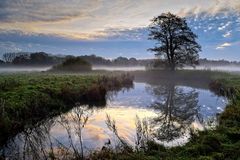 Ende Oktober in den Aa-Wiesen (Borken-Gemen)