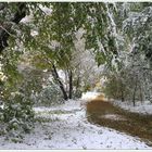 Ende Oktober kommt schon mal der Winter