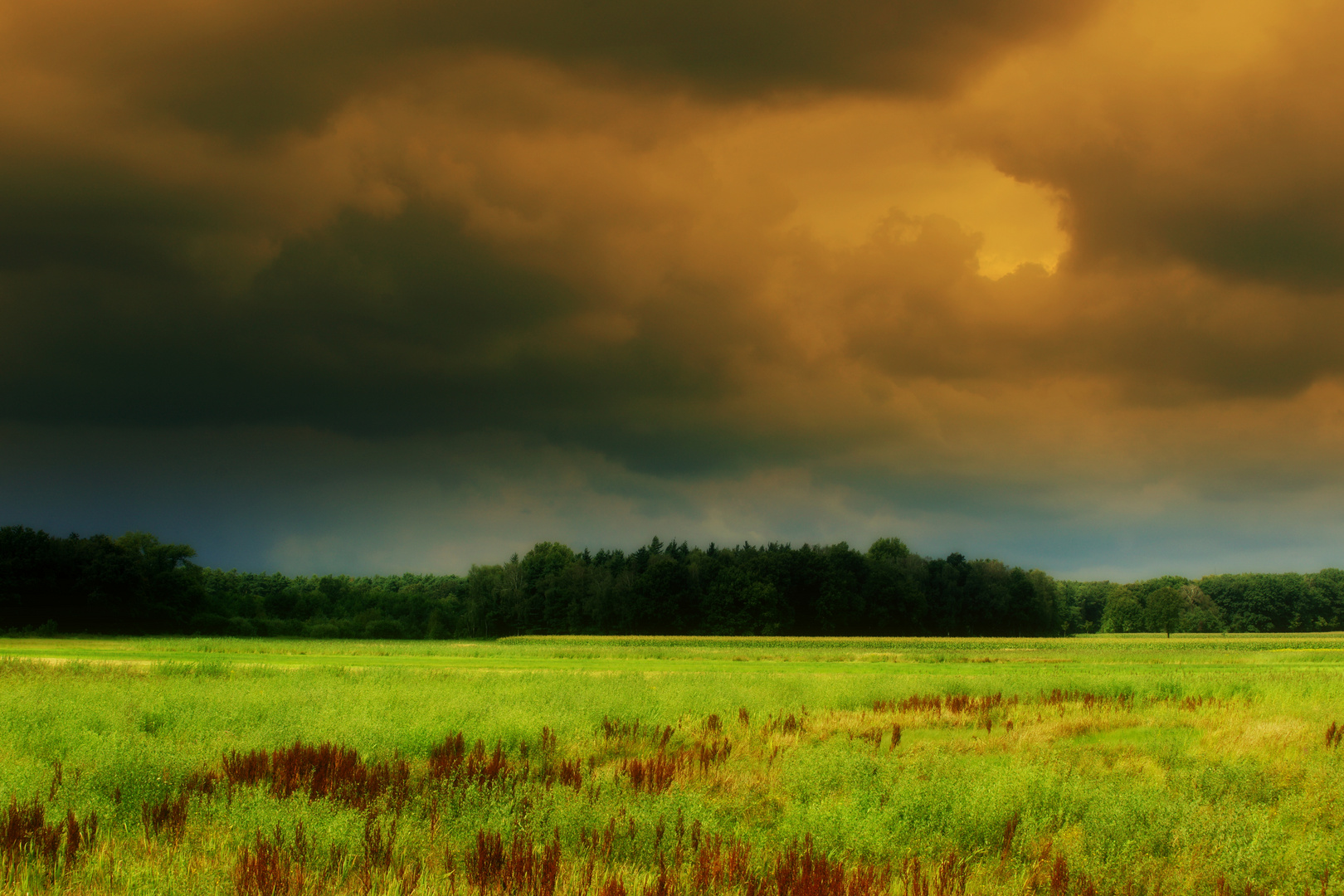 Ende Sommer 2014