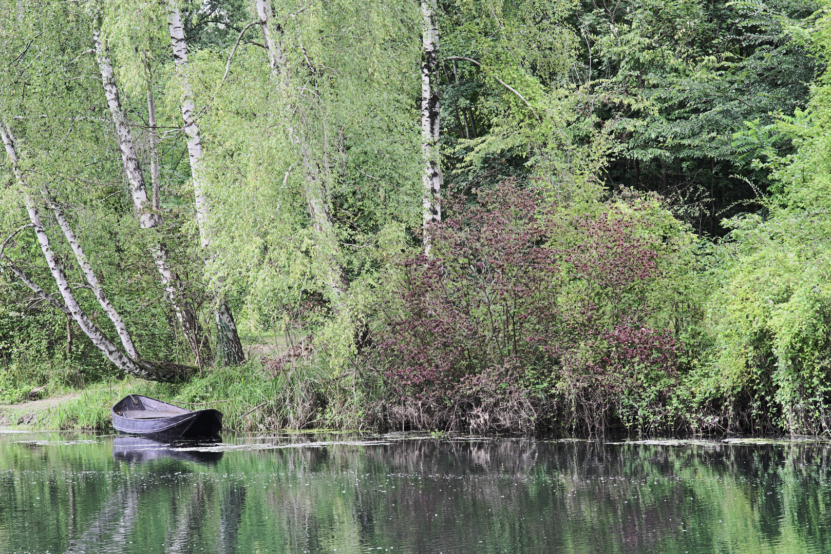 Ende Sommer am Groschenwasser II