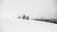 EndeDerInversion...
