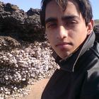 User Profile Photo