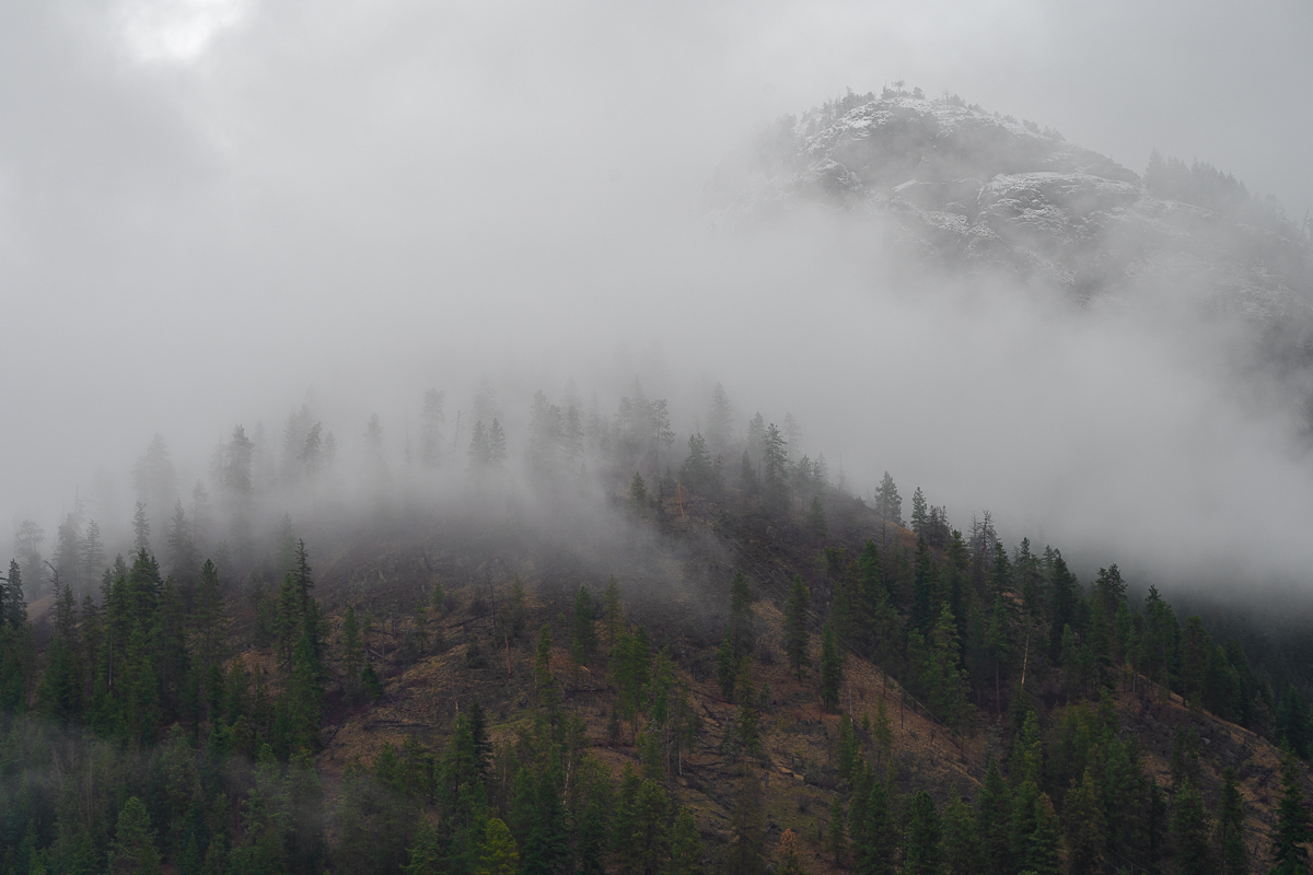 Enderby Cliffs