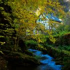 Enderttal in Cochem 