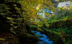 Enderttal in Cochem 