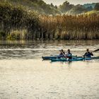 Endlang der Havel-Radweg