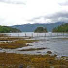 Endlang des Sognefjords