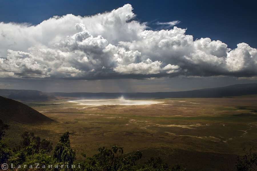 endless Africa