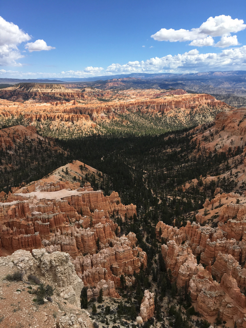 Endless Bryce Canyon