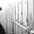 Endless Fence