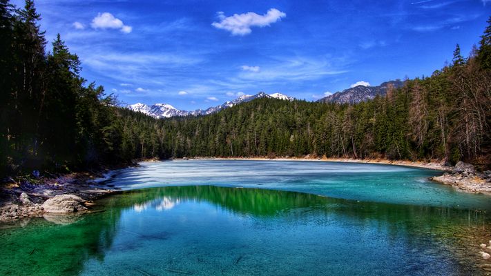 .....Endless Forms Most beautifull....