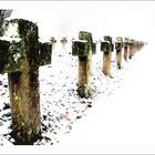 Endless - World War 1 Memorial, Heidelberg, Ehrenfriedhof