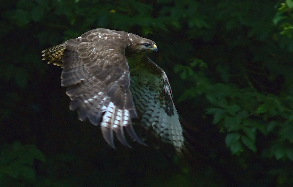 Endlich Abflug reloaded