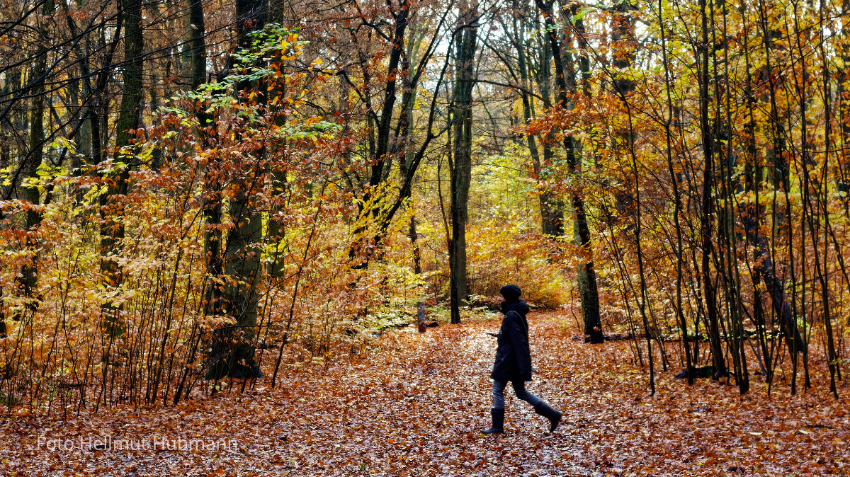 ENDLICH. ALLEIN IM WALD - DAS SIMSE ICH AN ALLE!