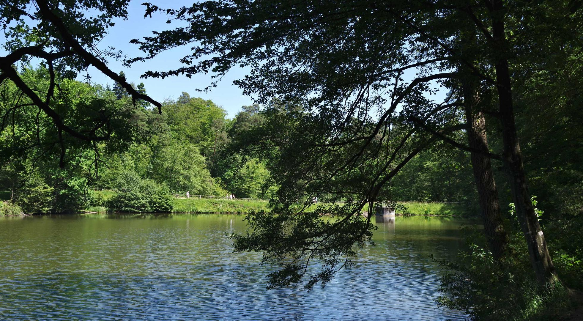 endlich am Bärensee...