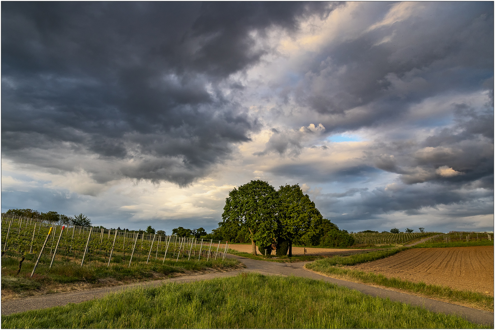 Endlich: Aprilwetter!