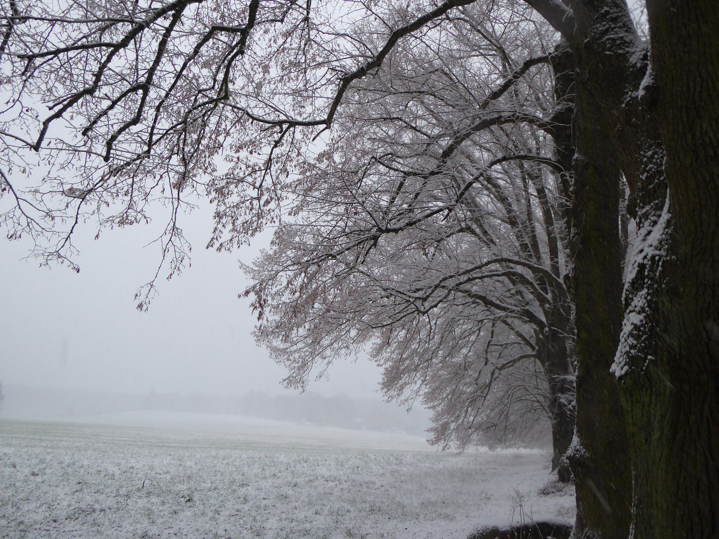 Endlich auch bei uns - ein Winterwunderland