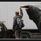 Endlich auch mal den Stier an den Hörnern gepackt ...