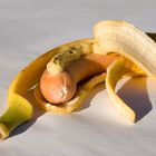 Endlich auf dem Markt: Bananen für Carnivoren