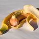 Endlich auf dem Markt: Bananen fr Carnivoren