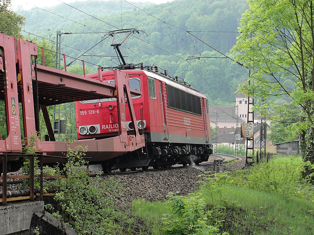 "Endlich ausgeholzt", Solnhofen, 29.05.2010