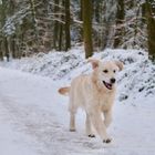 ...endlich Bewegung...und so ein Spaß