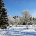 endlich blauer Himmel