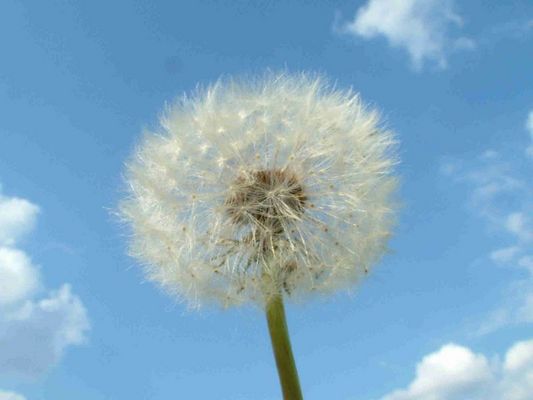 endlich: blauer Himmel im Norden