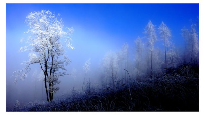 Endlich das richtige Licht.....