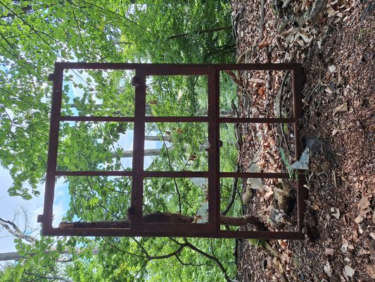 Endlich den vollen ...