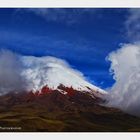 Endlich der Cotopaxi