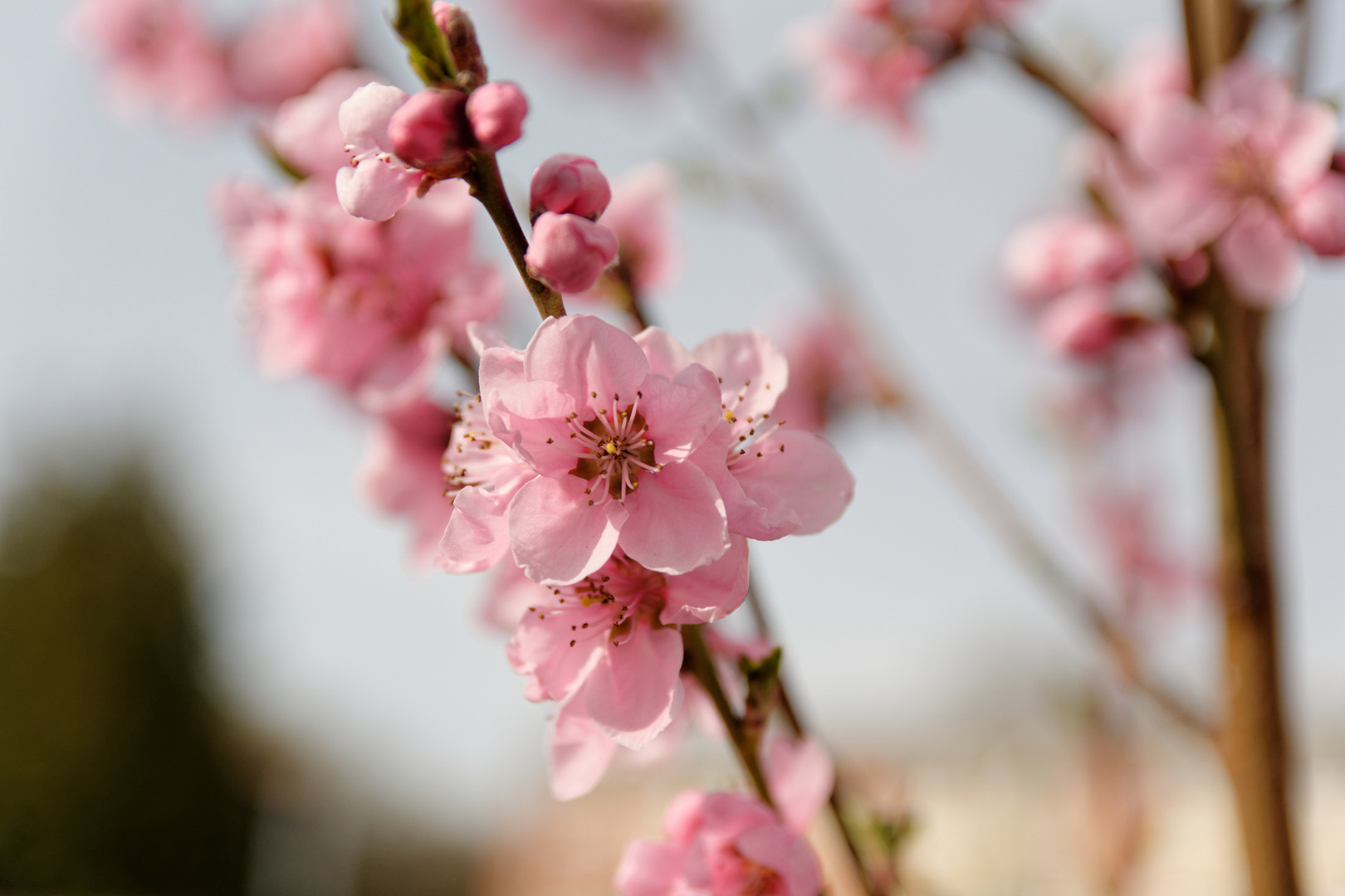 Endlich der Frühling