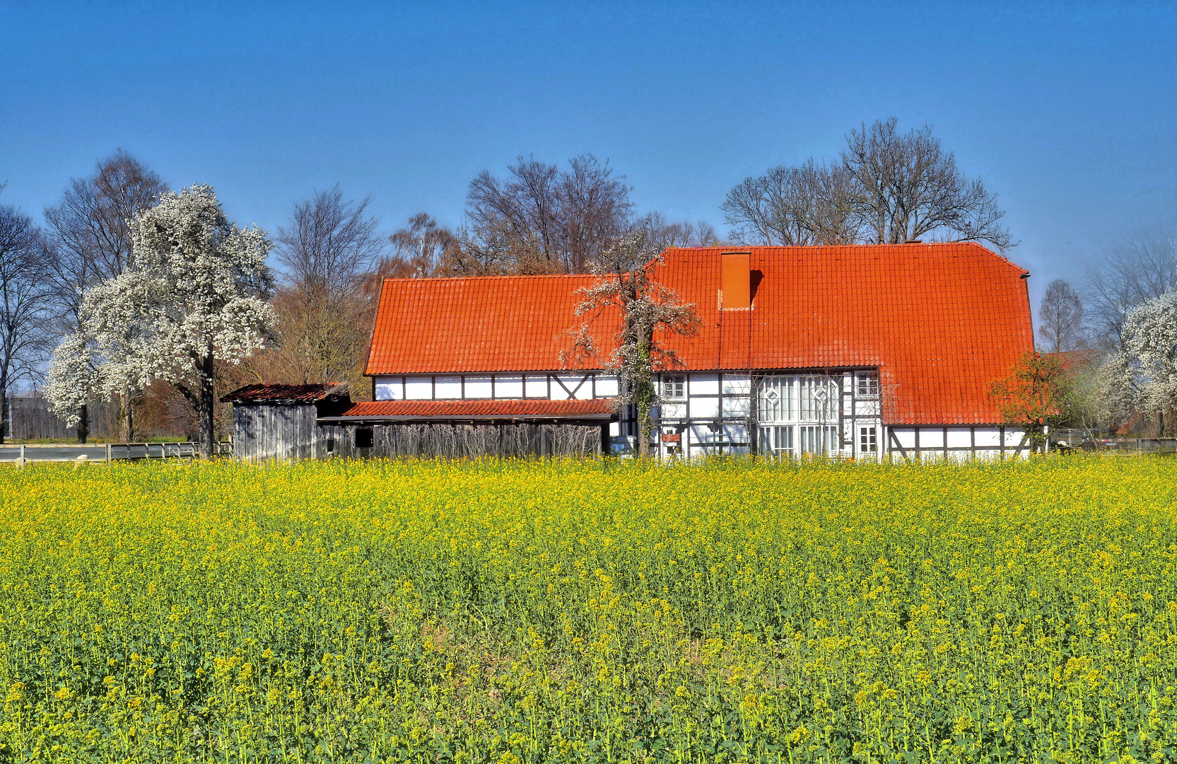 Endlich. Der Frühling kommt 