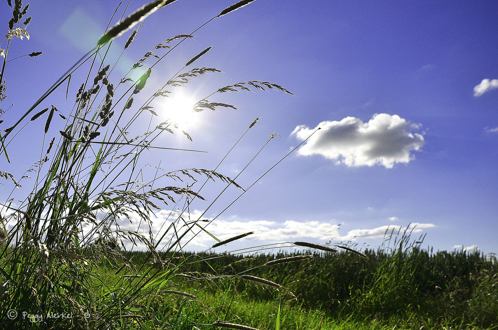 Endlich, der Sommer ist da!