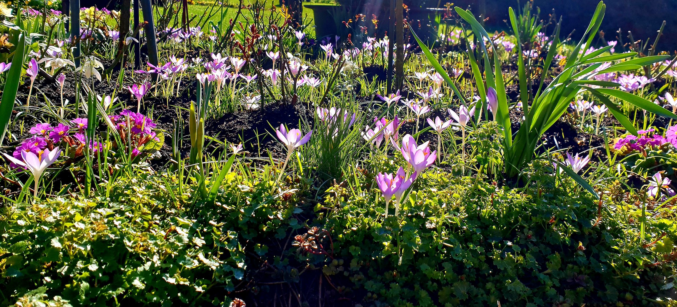 Endlich ein bischen Frühling...