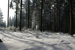 Endlich ein bißchen Sonne