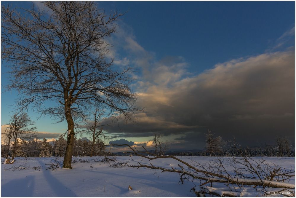 Endlich ein bisschen Winterfeeling