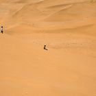 Endlich ein großer Sandkasten