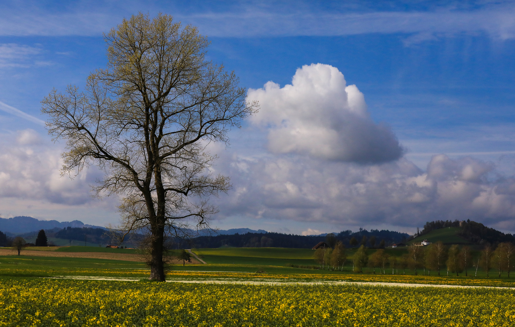 Endlich ein schöner Frühlingstag