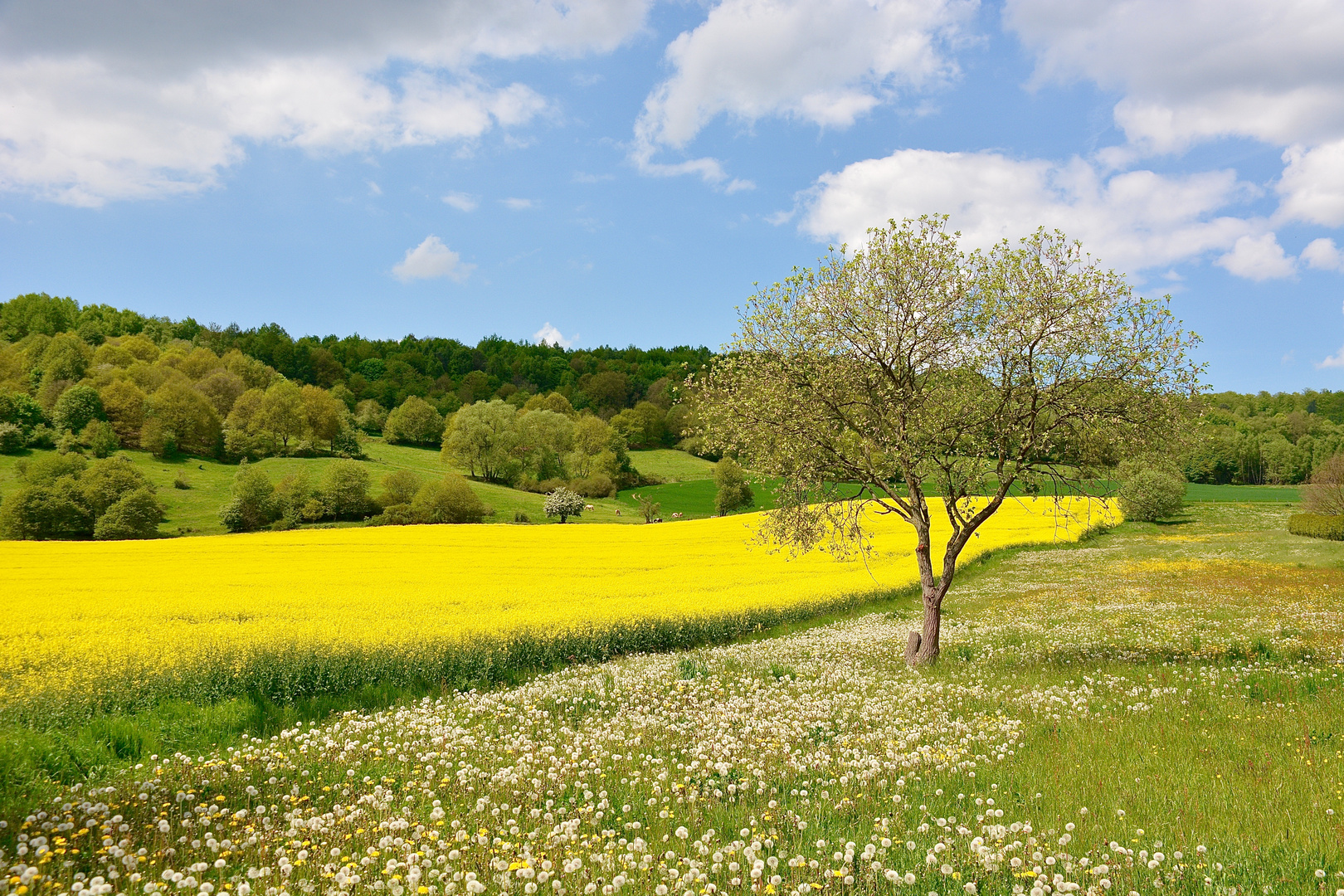 Endlich einfach nur Frühling