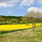 Endlich einfach nur Frühling