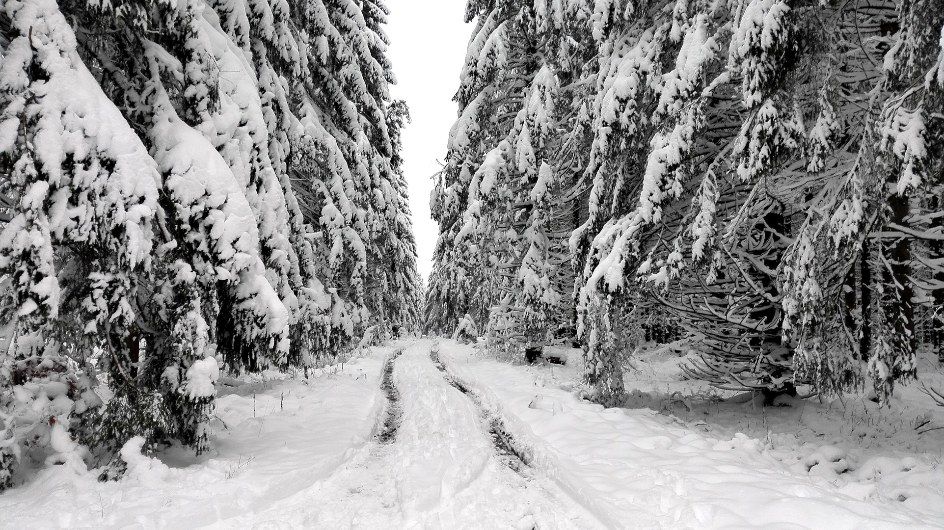 Endlich einmal wieder Winter