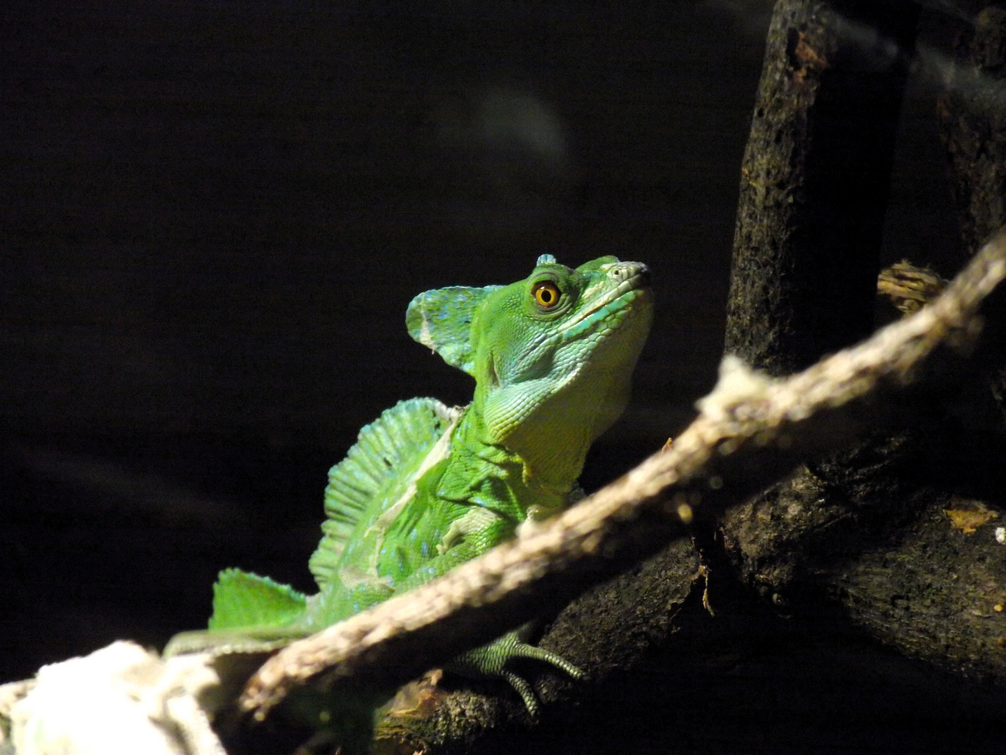 Endlich etwas anderes