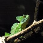 Endlich etwas anderes