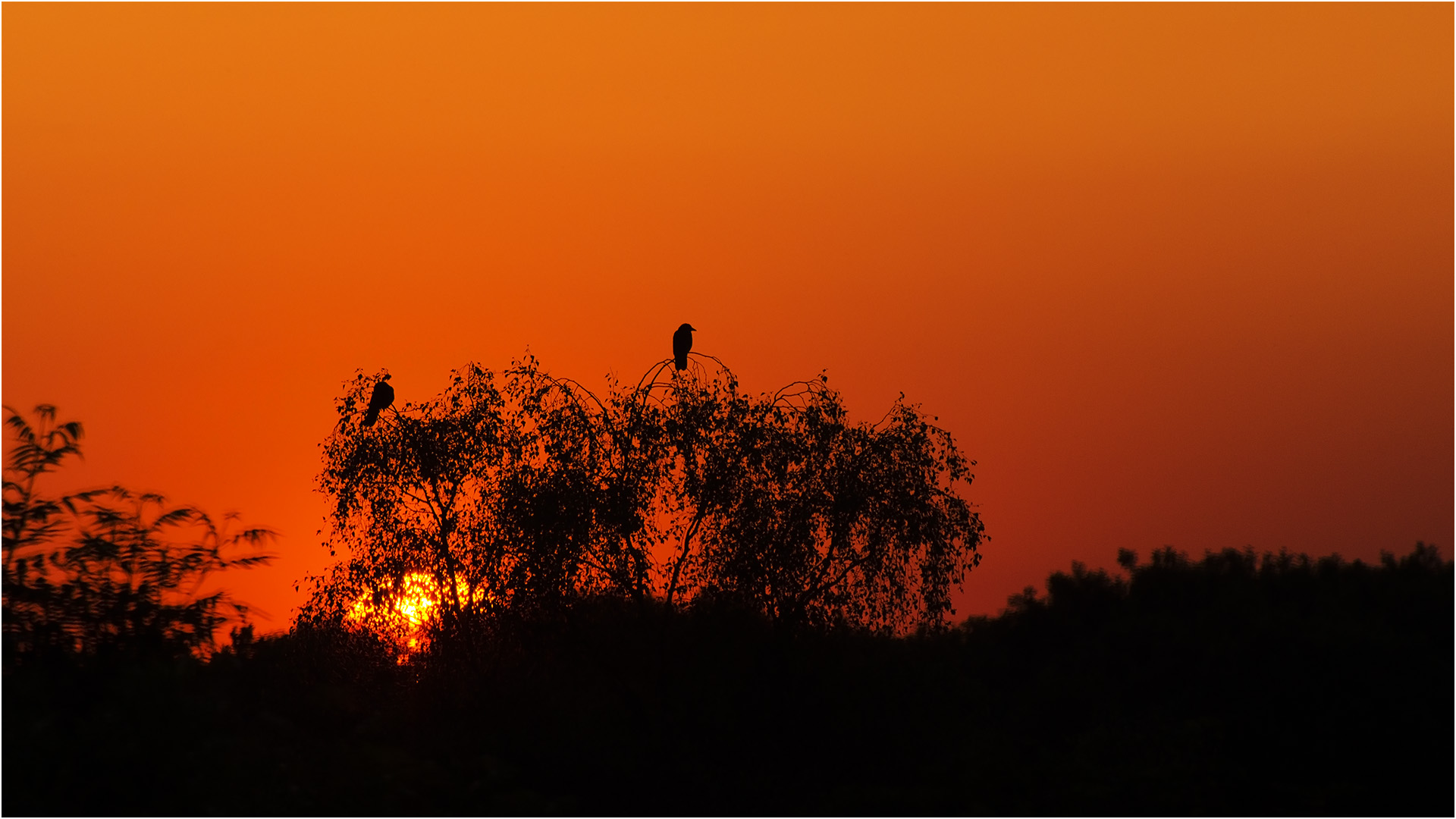 Endlich Feierabend.....