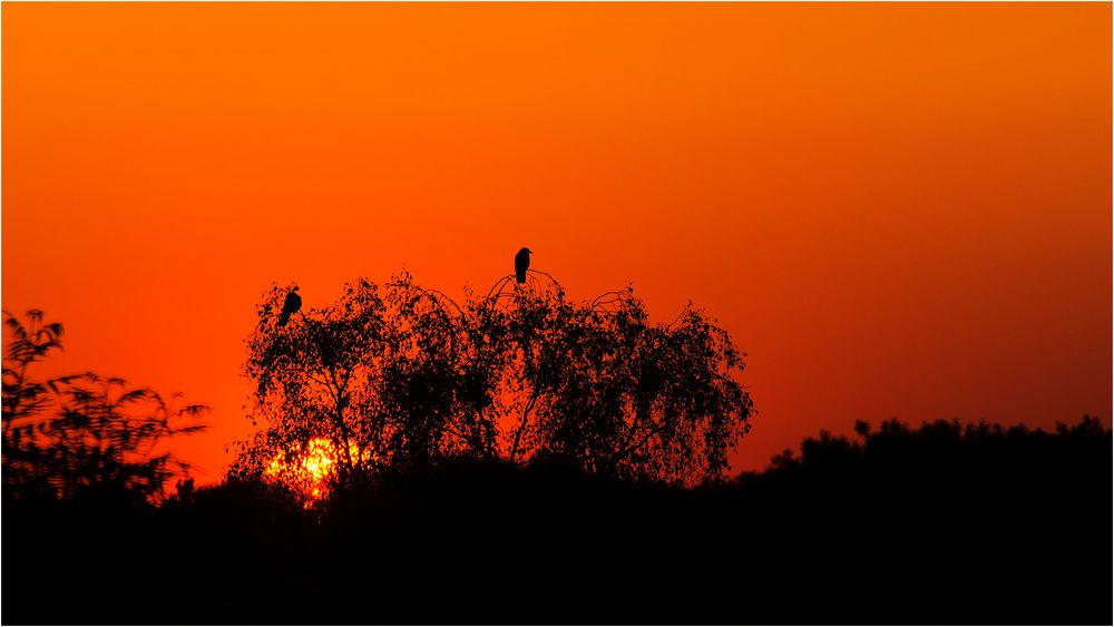 Endlich Feierabend.....