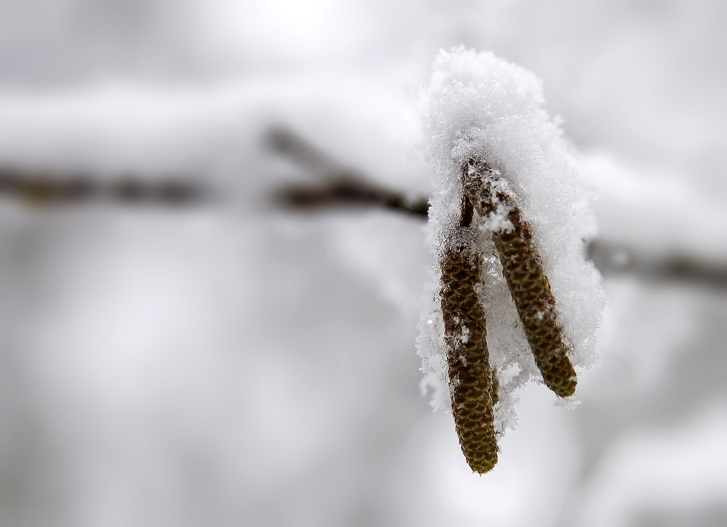 endlich frischer Schnee