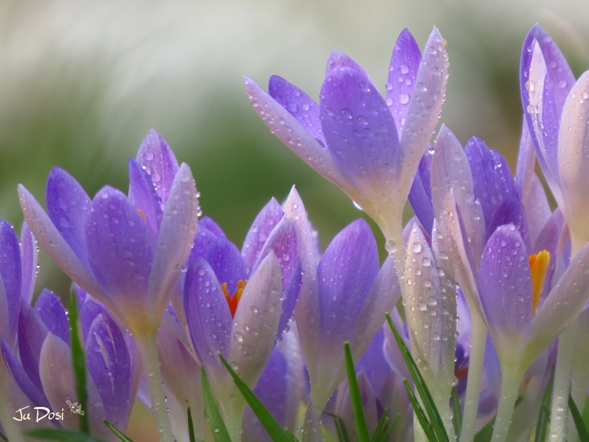 Endlich Frühling