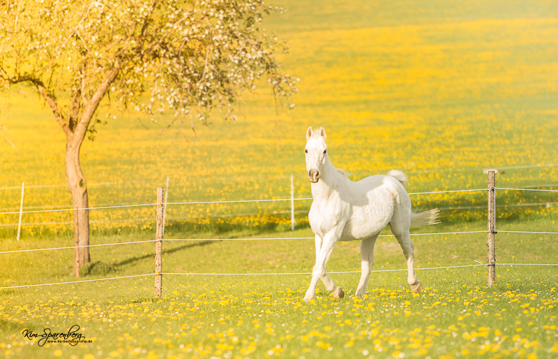 endlich Frühling