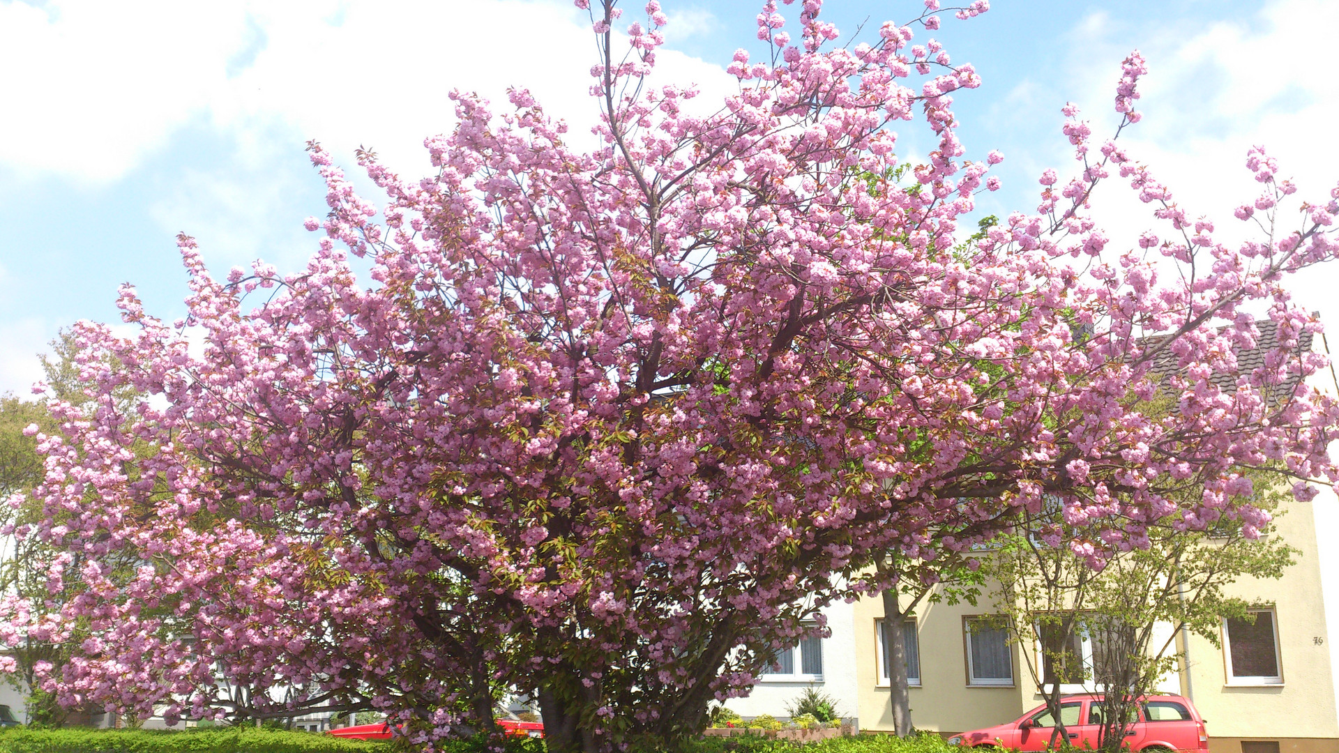 Endlich Frühling